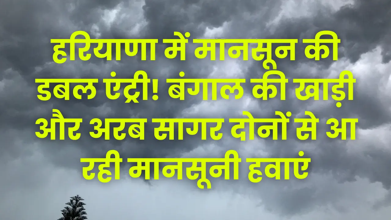 haryana-monsoon-farmers-good-news